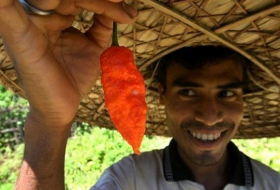 Ghost pepper sends man to hospital for 23 days 